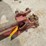 #5028-•-cleforne-tools-rebar-cutter-image-7