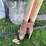 #7446-•-hand-tools-image-5