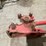 #5028-•-cleforne-tools-rebar-cutter-image-4