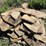 #7462-•-tan-flagstone-image-7