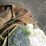#7046-•-2005-chevrolet-duramax-(has-wi-title)-image-21