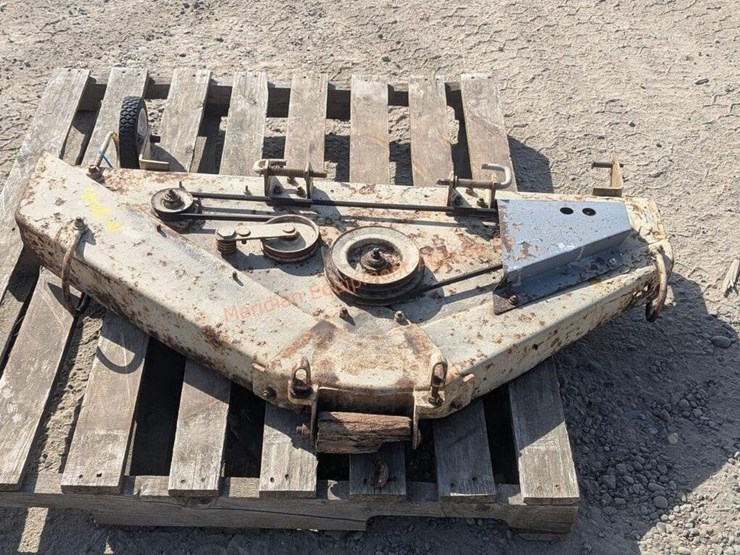 international-40-image-5