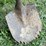 #7441-•-shovels-image-3