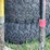 #7443-•-flat-shovels-image-5
