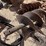 #7388-•-post-hole-digger-image-8