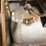ingersoll-rand-15-hp-compressor-image-11