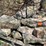 #7427-•-lannon-stone-image-1