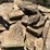 #7462-•-tan-flagstone-image-5