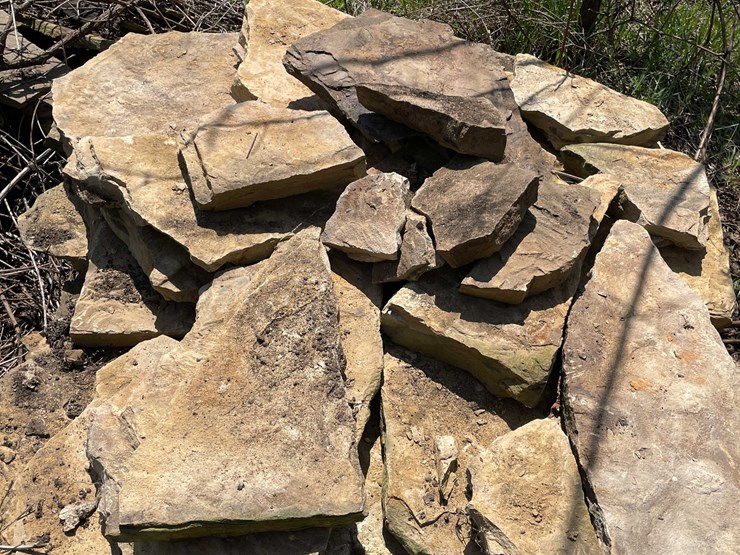 #7462-•-tan-flagstone-image-5