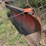 #7425-•-snow-plow-image-2