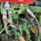 2001-john-deere-6410-image-24