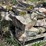 #7427-•-lannon-stone-image-4