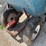 #7463-•-(2)-wheel-barrows-image-5