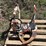#7430-•-pole-grabber-image-2