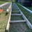 #7436-•-(2)-aluminum-ladders-image-2