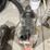 #5049-•-husqvarna-wt2go-water-tank-image-6