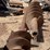 #7387-•-post-hole-digger-image-9