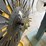 manual-reeler/-dereeler-image-3