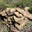 #7462-•-tan-flagstone-image-2