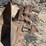 #7389-•-(2)-auger-bits-image-8