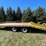 #7155-•-dexter-axle-utility-trailer-(no-title)-image-8