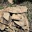 #7462-•-tan-flagstone-image-8