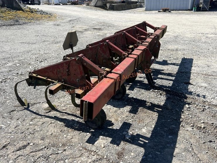 international-5-image-7