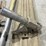 #5061-•-(2)-bull-float-heads-and-extension-pole-image-4
