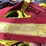 #5059-•-tote-of-safety-harness-and-ropes-image-8