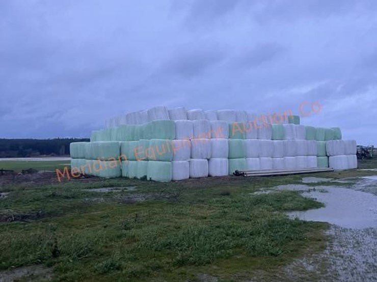 oat-&-pea-mix-haylage-round-bales-x-20--laconner-image-2