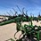 1988-john-deere-960-image-12
