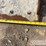 2022-caterpillar-299d3-image-22