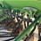 john-deere-8300-image-2