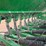 2008-great-plains-3s-4000hd-image-9