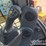 2022-caterpillar-289d3-image-39