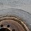 treated-fence-post-42942-image-7