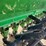 2016-john-deere-bd1110-image-6