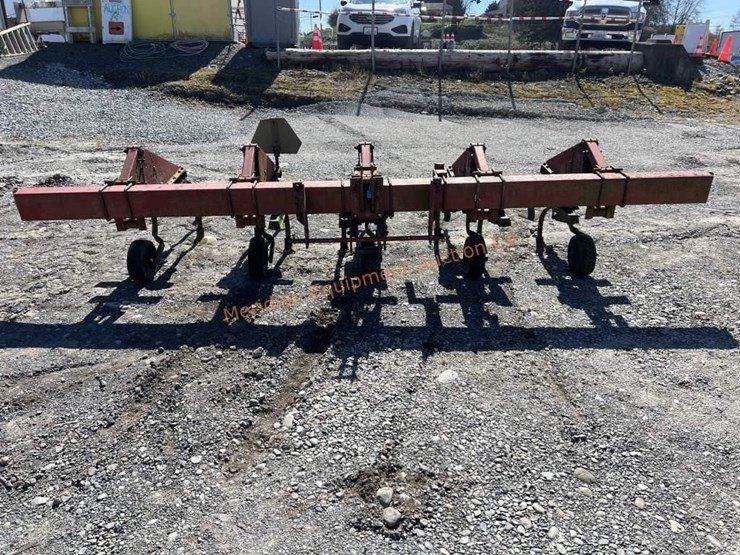 international-5-image-6