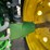 2004-john-deere-7420-image-11