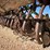john-deere-b-image-7