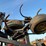 #t8412-•-flex-coil-340-image-9