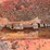 bush-hog-3210-image-14