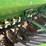 john-deere-8300-image-5