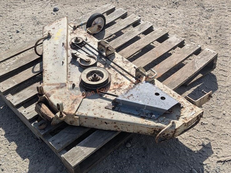 international-40-image-6