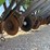 john-deere-8300-image-6