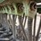 great-plains-solid-stand-15-image-22
