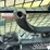 2022-caterpillar-299d3-image-42