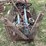 ford-tractor-image-2