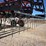 case-ih-4300-image-13