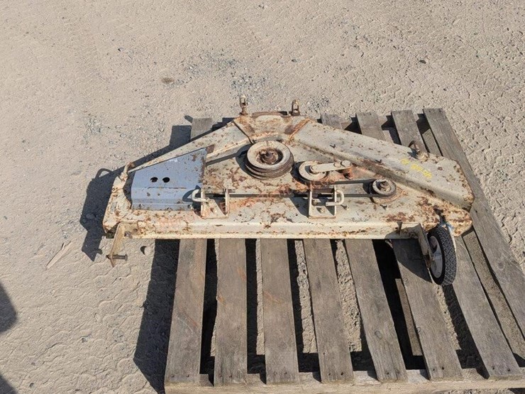 international-40-image-1